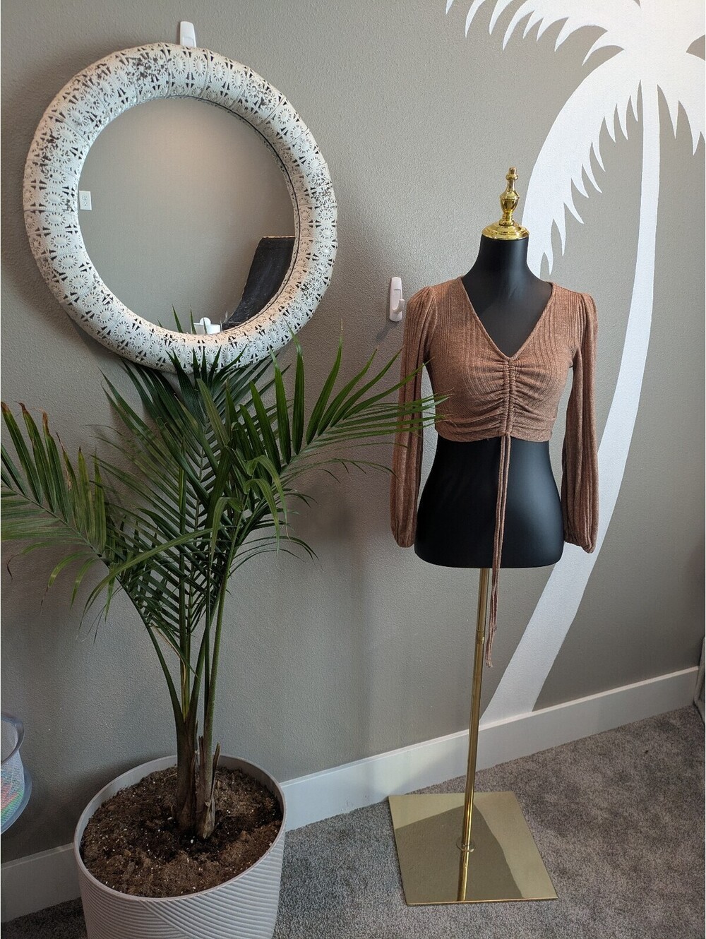 Brown Long Sleeve Ruched Crop Top with Tie Front